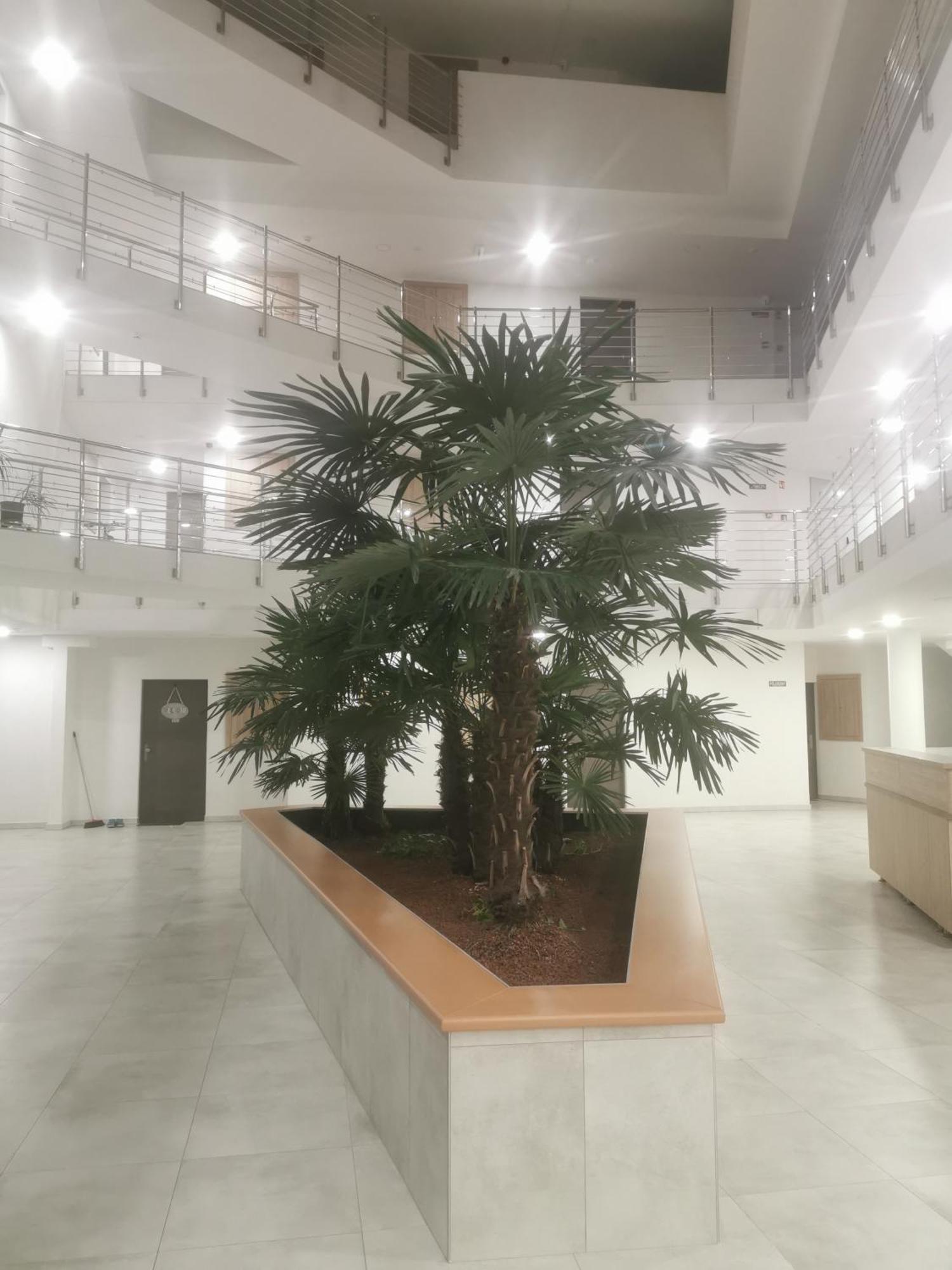 Hévíz Beli Apartman Melygarazzsal מראה חיצוני תמונה